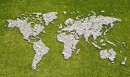 Map in Grass 